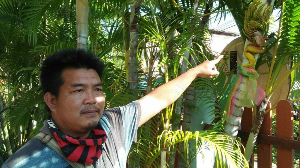 ปู่ศรีสุทโธ