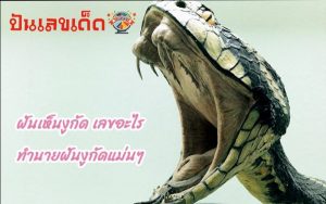 ฝันเห็นงูเลขเด็ด