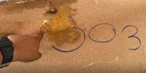 เลขฝาโลง