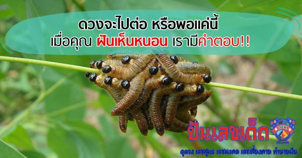 ฝันเห็นหนอน