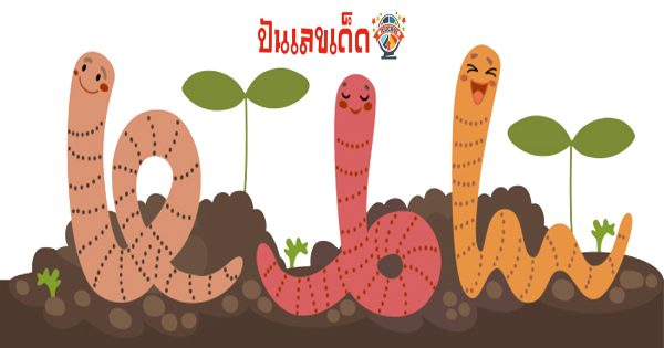 ฝันเห็นหนอน