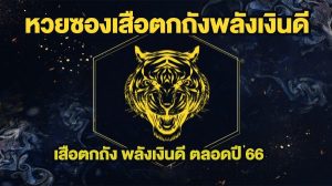 เสือตกถัง65-เลขเด็ดเสือตกถังพลังเงินดี คือ