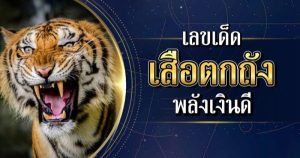 เสือตกถังพลังเงินดี-เลขเด็ดเสือตกถังพลังเงินดี คือ