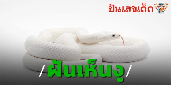 ฝันเห็นงูเผือก