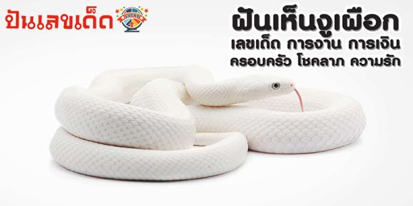 ฝันเห็นงูเผือก