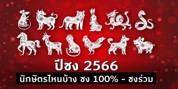ปีชง 2566 ปีชงมีปีอะไรบ้าง