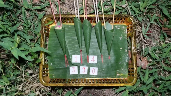 พญาบึ้งคืออะไร - punlekded