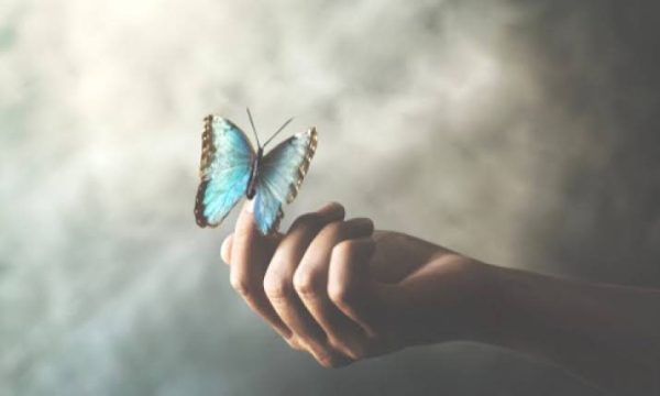 ฝันว่าจับผีเสื้อ