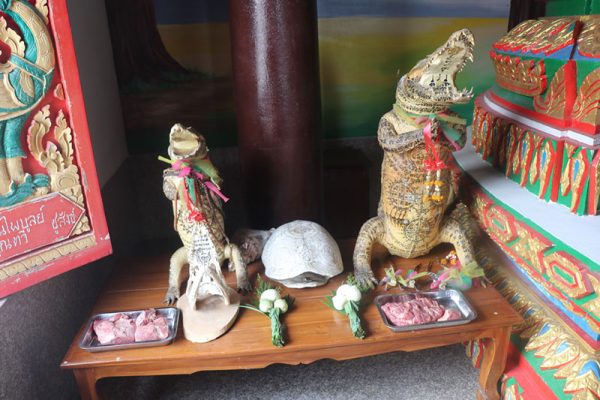  วิธีขอหวย ให้ถูก-punlekded