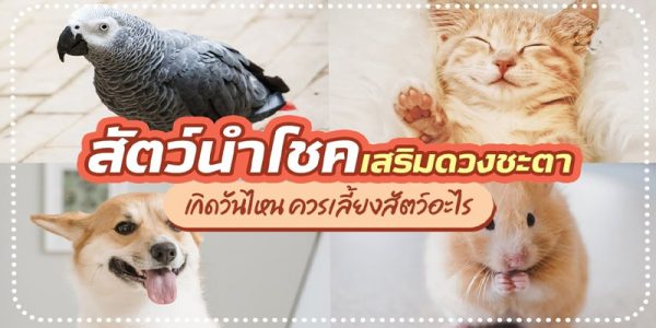 สัญลักษณ์ ประจําเดือนเกิด