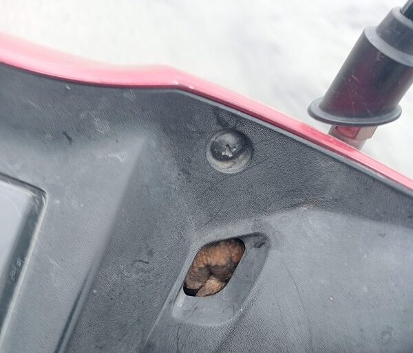 แห่ส่องเลขเด็ด-punlekded