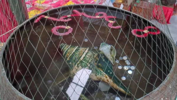 คนดวงเฮง-punlekded