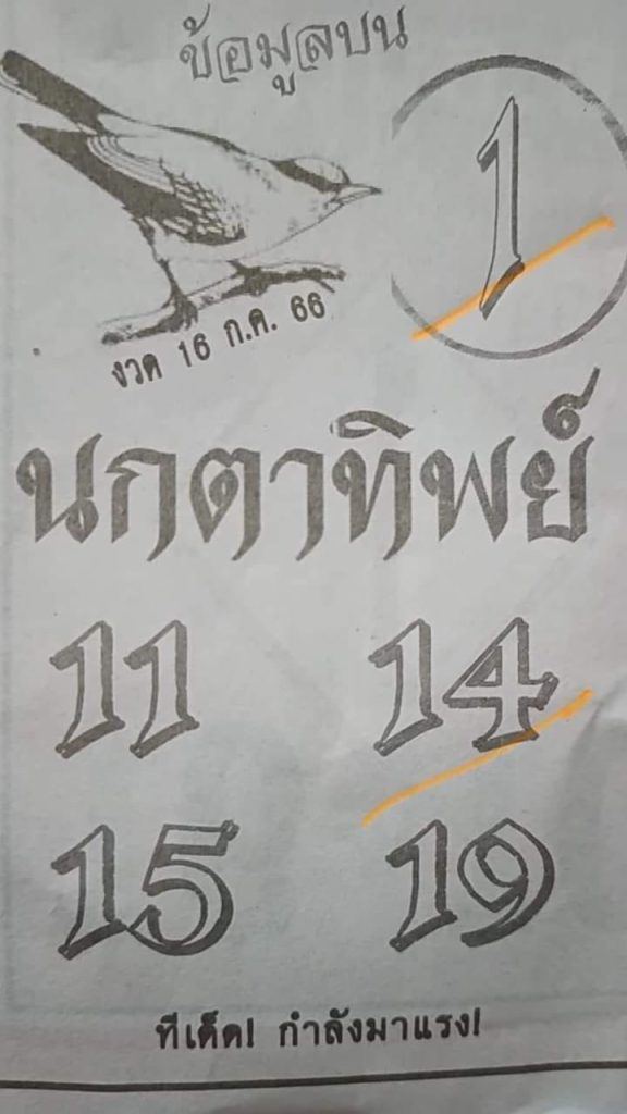 เลขนกตาทิพย์ - punlekded