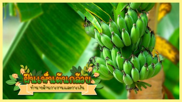 ฝันเห็นต้นกล้วยเยอะมาก