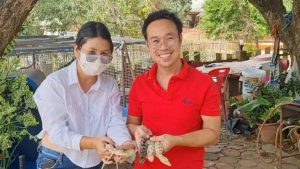 ส่องเลข จระเข้เผือก-punlekded