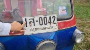 ส่องเลข จระเข้เผือก-punlekded