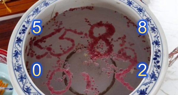 ส่องเลขไอ้ไข่-punlekded