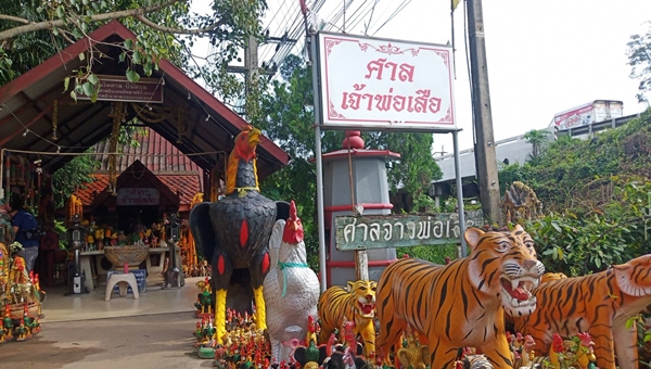 แก้บนเจ้าพ่อเสือ-"Make a vow to the tiger godfather1"