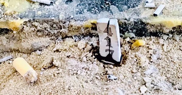 บูชาจระเข้-"Crocodile worship"