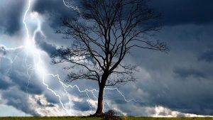 ฝันว่าฟ้าผ่าต่อหน้า-"Dreaming that lightning strikes"