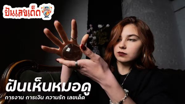 ฝันเห็นหมอดู เลขเด็ด -"Dreaming of seeing a fortune teller, lucky numbers"