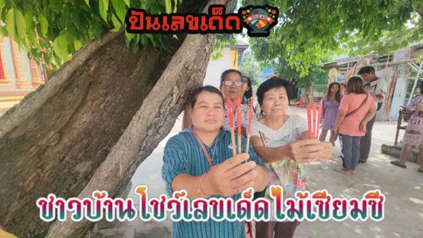 ฝันเห็นดอกพิกุล ทอง-"Dream of seeing Phikun Thong flowers"