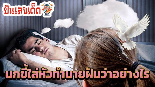 ฝันว่านกขี้ใส่หัว -"Dreaming that a bird poops on your head"