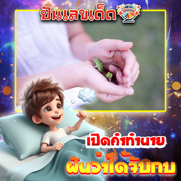 ฝันว่าได้จับกบ-"Dreamed of catching a frog"
