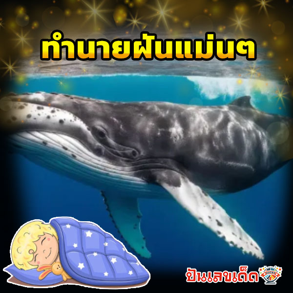 ฝันเห็นวาฬตัวใหญ่ -"I dreamed of seeing a big whale."