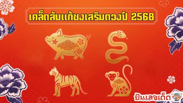 แก้ปีชง 2568-"Solve the bad year 2568"