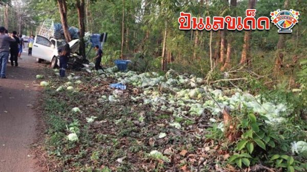 รูปภาพอุบัติเหตุรถชนต้นไม้ของ lekdedonline