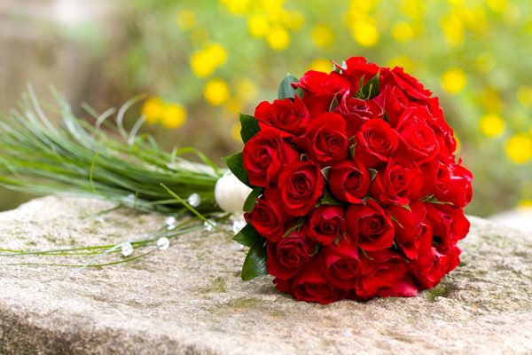 ปันเลขฝัน ทำนายฝัน dream red rose กุหลาบสีแดง