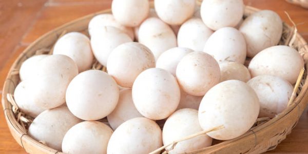 ฝันเห็นไข่ไก่หลายฟอง-ฝันเห็นไข่ไก่