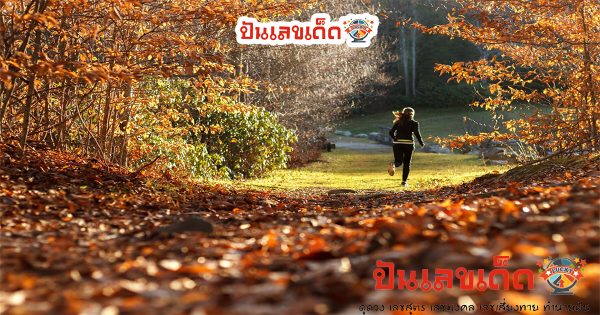 ฝันว่าโดนไล่จับ เลขเด็ด- ปันเลขเด็ด
