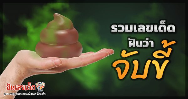 ฝันว่าจับขี้ตัวเอง