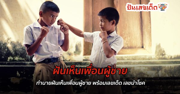 ฝันเห็นเพื่อนผู้ชาย ทำนายฝันเห็นเพื่อนผู้ชาย พร้อมเลขเด็ด เลขนำโชค