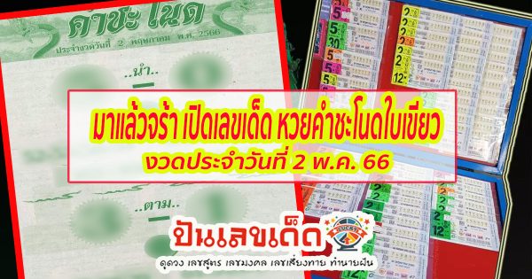 เลขคำชะโนดใบเขียว เลขเด็ดคำชะโนด เลขชูโรงเลขตัวบน 2ตัว 3ตัวเน้นๆหวยงวด 2 พฤษภาคม 2566