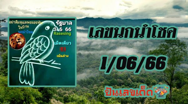 เลขนกนำโชค 1/06/66 เลขเด็ดงวดนี้ จัดเต็มเน้นล่าง เซียนหวยพลาดไม่ได้รีบส่องด่วน!