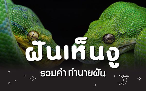 ฝันเห็นงูเขียว-punlekded.com