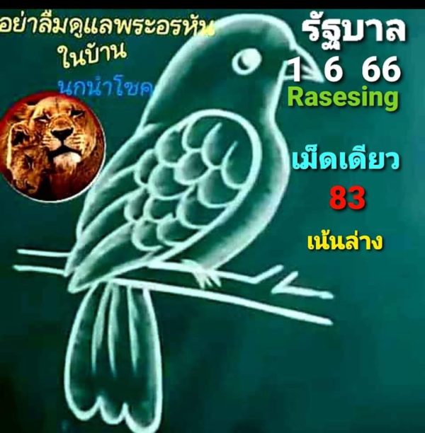 เลขนกนำโชค 1/06/66-punlekded