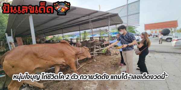 เลขเด็ดงวดนี้