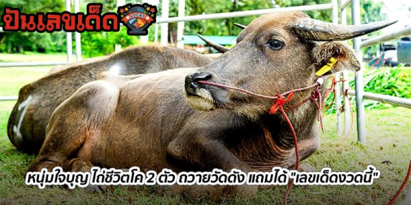  เลขเด็ดงวดนี้ที่สุดในโลก