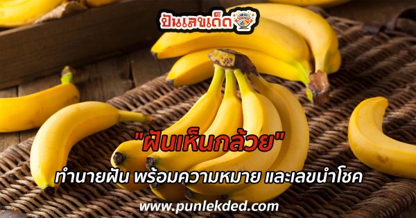 ทำนายฝัน “ฝันเห็นกล้วย” ฝันเห็นกล้วยสุก กล้วยเป็นเครือ พร้อมความหมาย และเลขนำโชค