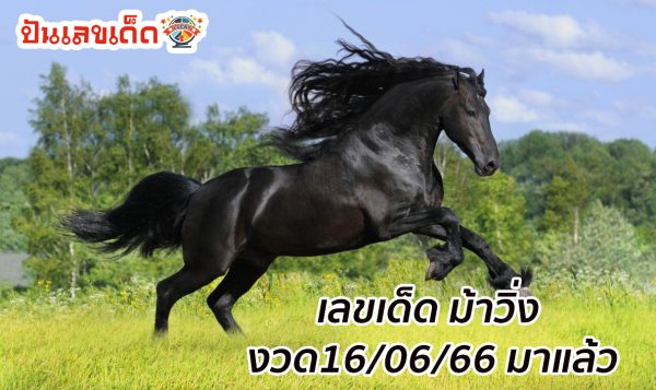 เลขม้าวิ่ง 16/06/66 มาแล้วตามมาเลยกับหวยแม่นๆของแท้ แจกเน้นๆ ห้ามพลาด