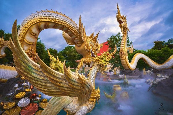 ฝันเห็นพญานาคสีเหลืองทอง-punlekded