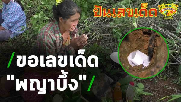 ลุ้นโชค เลขพญาบึ้ง ประจำงวดวันที่ 16 มิถุนายน 2566 งวดนี้ไม่มีพลาด