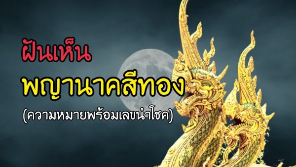 ฝันเห็นพญานาคสีทอง-punlekded