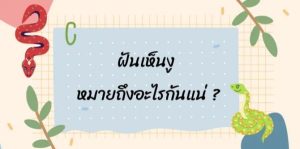 ฝันว่างูวิ่งไล่-punlekded