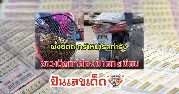 มาให้โชค เชื่อมาให้โชค! สาวจอดรถซื้อของไม่ถึง 5 นาที ถูกฝูงผึ้งหลวงบุกยึดตะกร้าหน้ารถทำรัง