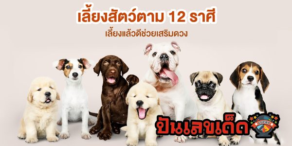สัตว์เลี้ยงนำโชคประจำราศีเกิด  ไม่ใช่แค่น่ารัก แต่ยังพารวยด้วยนะ! มาทำความรู้จักกัน